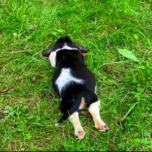 Meet your Posher, Derek